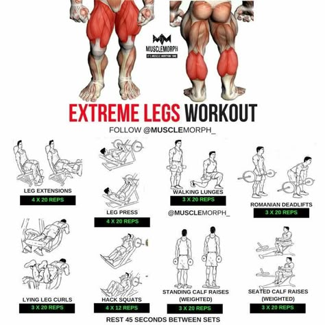 Leg Workouts For Men, Leg Workouts Gym, Best Leg Workout, Gym Antrenmanları, Lower Body Workouts, Workouts For Men, Step Workout, Leg Day Workouts, Gym Workouts For Men