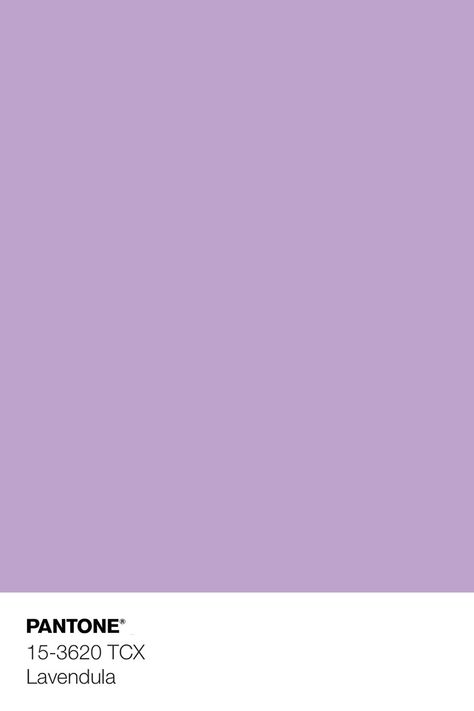 Purple Aesthetic Color Pallete, Purple Pantone Shades, Paramochy Purple, Light Purple Pantone, Pantone Colors Purple, Pantone Purple Shades, Color Purple Aesthetic, Purple Color Swatch, Lavender Color Wallpaper