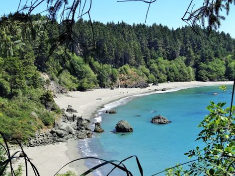 This Enchanting Forest Hike In Northern California Leads You To A Stunning Secret Beach Northern California Beaches, Humboldt County California, Forest Hike, Enchanting Forest, Humboldt County, What To Do Today, To Do Today, Secret Beach, Tide Pools