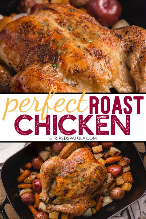 Learn how to make juicy, flavorful, golden-skinned roasted chicken every time! Roasted with root vegetables, this recipe is a one-pan meal that's perfect for chilly weather. An essential for any home cook! #chicken #dinner Chicken With Root Vegetables, Perfect Roast Chicken, Spatchcock Chicken, Oven Roasted Chicken, Easy Chicken Dinner Recipes, Cook Chicken, Cooking Club, Roast Chicken Recipes, Best Food Ever