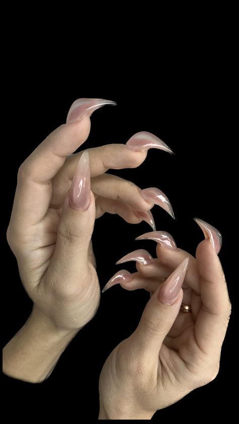 Raptor Nails, Cat Claw Acrylic Nails, Kitty Claws Nails, Werewolf Nails, Cat Claw Nails, Claws Nails, Lexi Nails, Talon Nails, Sharp Nails