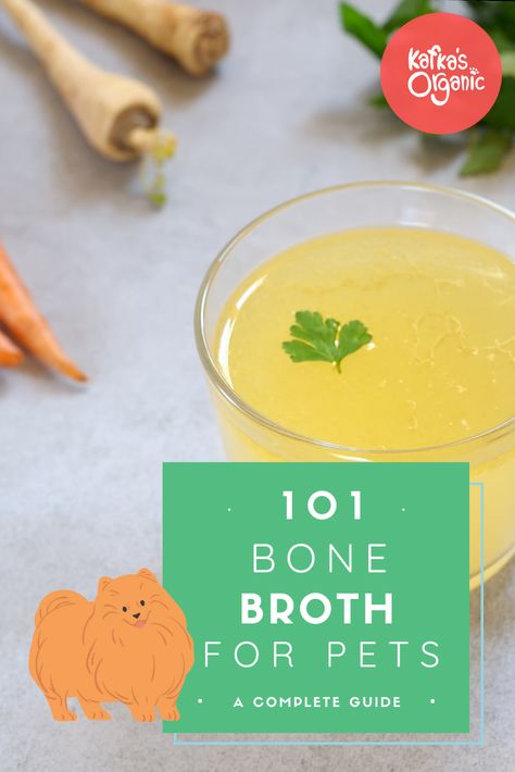 The only guide you'll need when learning all about bone broth for your dog and/or cat! Bone Broth For Cats, What Is Bone Broth, Bone Broth For Dogs, Broth For Dogs, Recipes With Vegetable Broth, Liquid Meals, Making Bone Broth, Make Dog Food, Chicken Bone Broth