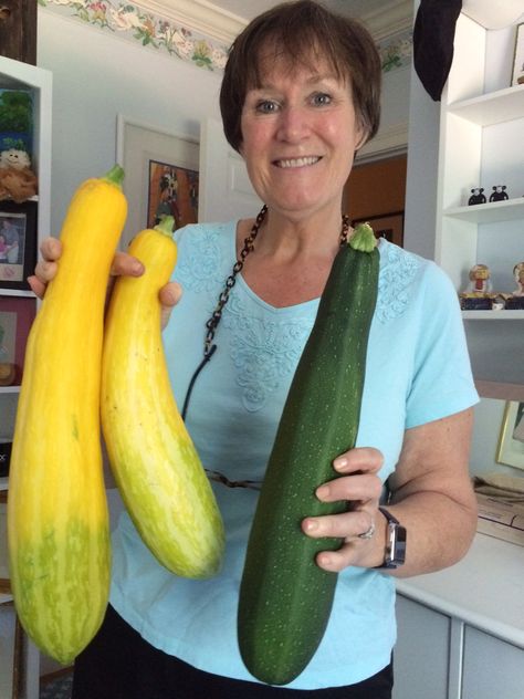 Large Batch Zucchini Bread, What To Do With Really Big Zucchini, What To Do With Big Zucchini, Big Zucchini Recipes, Giant Zucchini Recipes, Yellow Zucchini Recipes, Big Zucchini, Giant Leaves, Yellow Zucchini