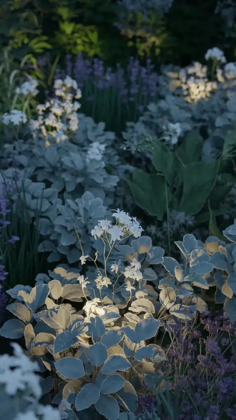 A photo of a moon garden sanctuary at night. There are white flowers, including moonflowers and night-blooming jasmine, in bloom. Silver-leaved plants, such as dusty miller and lamb's ear, are placed strategically to create a glow under the moonlight. The garden also contains evening primrose, evening-scented stocks, and other plants. Low-voltage LED lights are placed throughout the garden, illuminating the plants and casting shadows. The overall atmosphere is serene and magical. Moon Garden Aesthetic, Moon Garden Plants, Magic Garden Aesthetic, Moon Flower Plant, Moon Garden Ideas, Moonlight Flowers, Night Plants, Aromatic Garden, Moonlit Garden