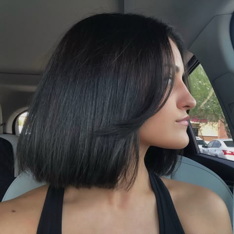 Brown Hair Bob With Curtain Bangs, Dark Brown Bob Straight, Dark Bob With Curtain Bangs, Straight Bob Haircut With Curtain Bangs, Black Bob Curtain Bangs, Curtain Bangs Black Hair Short, Bob With Subtle Curtain Bangs, Dark Black Short Hair, Black Short Hair With Curtain Bangs