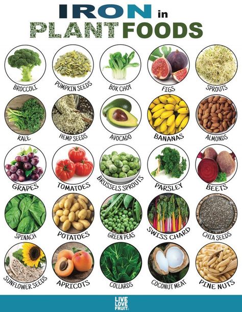 20 Plant-Based Foods Rich in Iron To Stay Energized and Anemia-Free Vegan Iron Sources, Vegan Iron, Food For Pregnant Women, Plant Eater, Foods With Iron, Avocado Banana, Iron Rich Foods, Diet Keto, Healthy Pregnancy