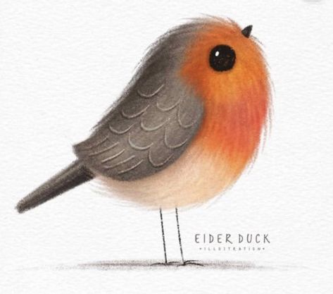 Cute Robin Illustration, How To Draw Robin, Cartoon Robin Bird, Cute Robin Drawing, How To Draw A Robin, Red Robin Tattoo, Robin Bird Illustration, Bird Graphic Design, Robin Illustration