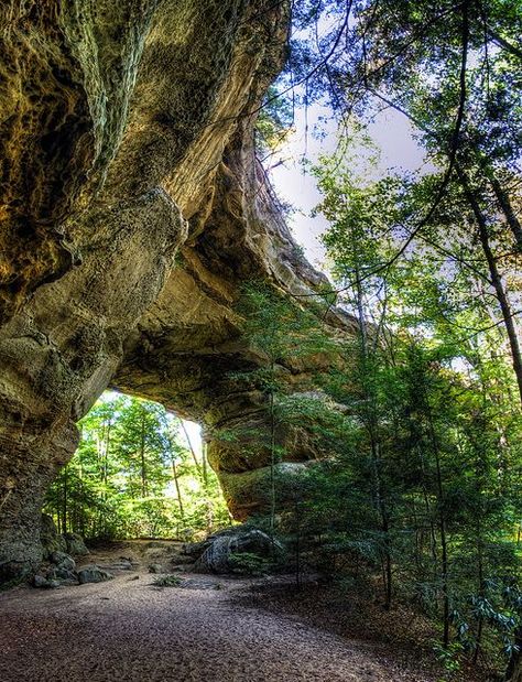 Twin Arches Loop Trail at Big South Fork National River....15 most beautiful places to visit in Tennessee North Caroline, Tennessee Road Trip, Tennessee Travel, Tennessee Vacation, Point Reyes, Photographie Portrait Inspiration, Beautiful Places To Visit, Asheville, Most Beautiful Places