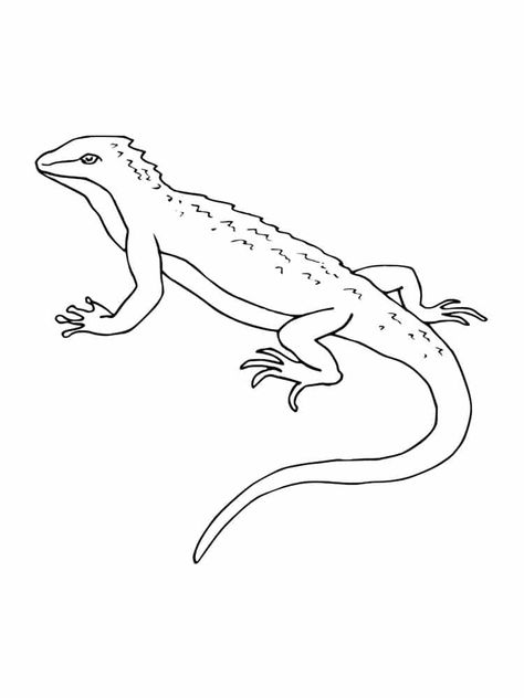 https://kidipaint.com/coloring-pages/animals/lizard-7/ Check more at https://kidipaint.com/coloring-pages/animals/lizard-7/?utm_source=pinterest Lizard Template, Reptiles, Coloring Page, Coloring Pages, Snoopy, Animals, Fictional Characters, Blue, Quick Saves