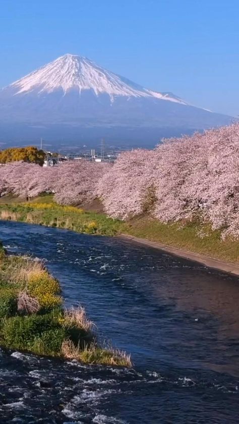 There are so many things to do in Japan it's really tough to narrow down a Japanese itinerary. Here are a few of our favorite Japan bucket list items. Bucket List Items, Things To Do In Japan, Beautiful Places In Japan, Japan Bucket List, Tokyo Japan Travel, Fall Photography, Scenery Nature, Nature View, Dream Travel Destinations