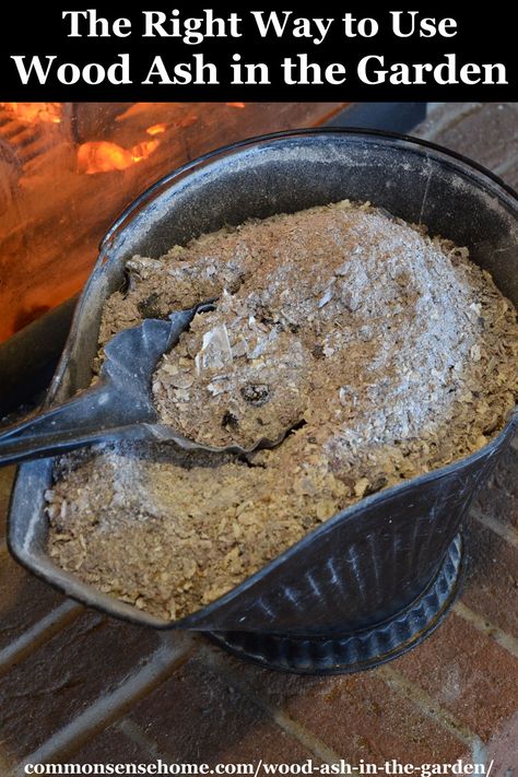 Wood Ash Uses, Wood Ash, Uses For Wood Ash, Incense Ash Uses, Wood Ash For Garden, Wood Ashes In The Garden, How To Make Soap From Wood Ash, Plant Leaves Turning Yellow, Lasagna Gardening