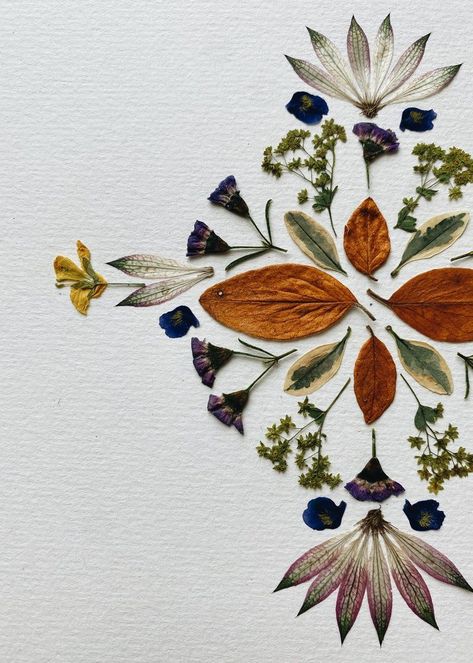 Flower Mandala Art, Tinta Natural, Pressed Flowers Diy, Nature Mandala, Pressed Botanicals, Pressed Flower Crafts, Flower Home Decor, Dried And Pressed Flowers, Pressed Flower Art