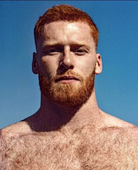 Red Bearded Men, Ginger Men With Beards, Handsome Ginger Men, Handsome Redhead Men, Men Face Reference, Red Haired Men, Red Hair Man, Red Head Men, Redheaded Men