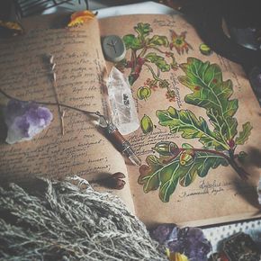 Earth witch botanical studies with crystals Witch's Cottage, Magick Book, 수채화 그림, Witch Aesthetic, Green Witch, Witchy Vibes, Nature Journal, Book Of Shadows, Mandala Design