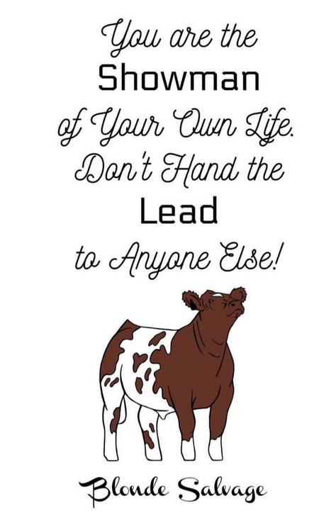 Livestock Quotes Cattle, 4h Quotes Inspiration, Livestock Show Quotes, 4h Quotes, Showing Cattle Quotes, Showing Steers, Cow Sayings, Cows Quotes, Cattle Quotes