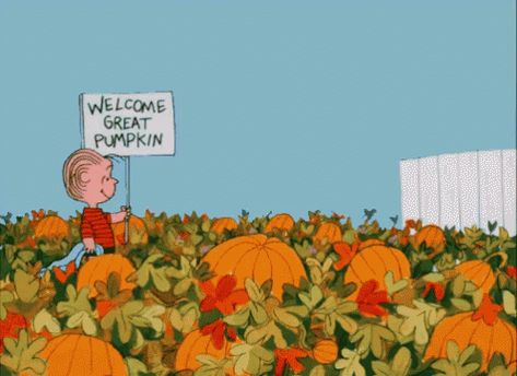 Great Pumpkin GIF - Pumpkin CharlieBrown PumpkinPatch - Discover & Share GIFs Charlie Brown Pumpkin, It's The Great Pumpkin Charlie Brown, Halloween Gifs, The Great Pumpkin Charlie Brown, Best Halloween Movies, Great Pumpkin Charlie Brown, Charlie Brown Halloween, It's The Great Pumpkin, Peanuts Halloween