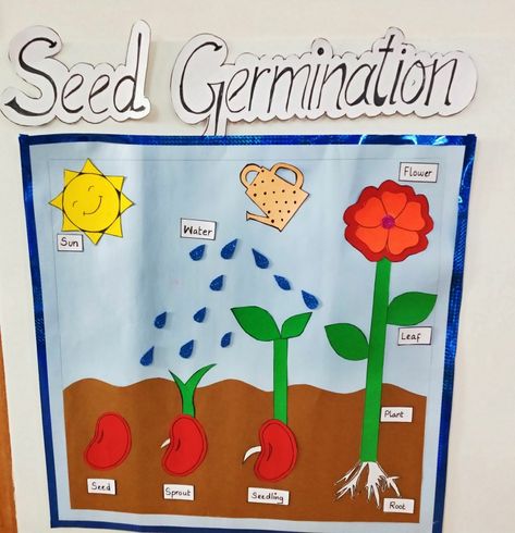 Plants Theme Board Ideas For Preschool, Germination Of Seeds Project, Germination Of Seeds For Kids, Seed Germination Project, Seed Germination For Kids, Farm Math Activities, Season Project, Montessori Crafts, Christmas Desktop Wallpaper