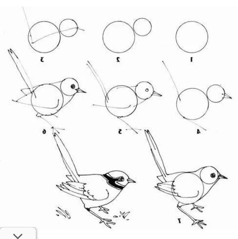 How To Draw Birds, Simple Bird Drawing, Draw Bird, Draw A Bird, Draw Birds, Easy Animal Drawings, Pencil Portrait Drawing, Bird Sketch, Pencil Art Drawings