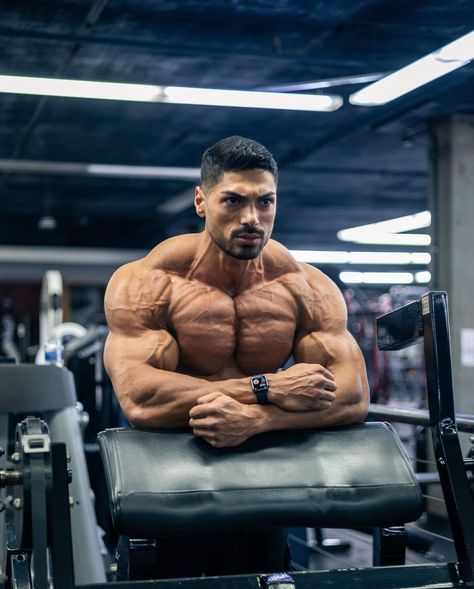 Andrei Deiu' on Instagram: “nobody cares, work harder 😤” Body Builder Wallpaper, Andrei Deiu, Upper Back Muscles, Perfect Physique, Shredded Body, Bodybuilding Pictures, Killer Abs, Gym Guys