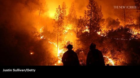 A Summer of Megafires and Trump’s Non-Rules on Climate Change | The New Yorker Fire Behind Person, Quotes About Courage, Firefighter Appreciation, Funny Firefighter, Uncertain Future, Firefighter Love, California Wildfires, Female Firefighter, Data Services