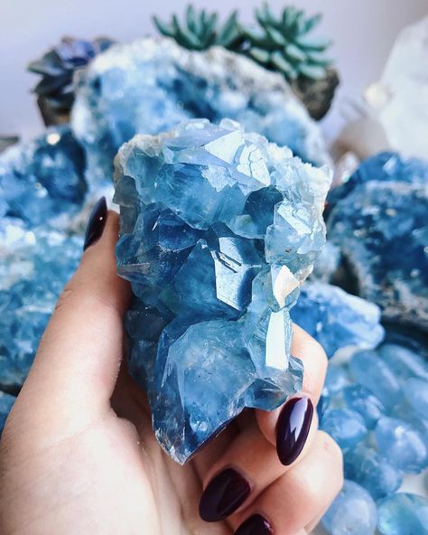 ⭐️ The Beauty Of Crystals ⭐️ on Instagram: “The color of this celestite gives me the chills 💙❄️☁️ Source: @spiritnectar” Décor Table, Collection Aesthetic, Faery Queen, Zen Zone, Half Shirt, Crystal Clusters, Beautiful Crystals, Rainbow Aesthetic, Pretty Rocks