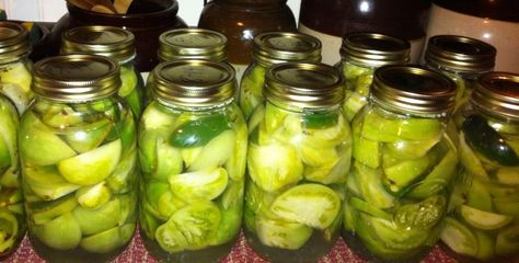 Tomatoes will change from bright green to a dull green after they are processed. Canned Green Tomato Recipes, How To Pickle Peppers, Tomato Pickle Recipe, Canning Green Tomatoes, Pickled Banana Peppers, Healthier Me, Pickled Green Tomatoes, Pickled Tomatoes, Squash Bread