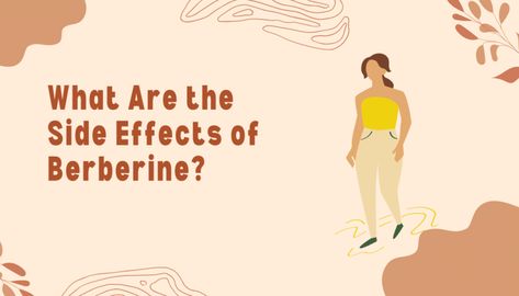 What Is the Best Berberine Supplement? - The Top Supplements Proline Benefits, What Is Berberine, Benefits Of Berberine, How To Take Berberine, Berberine Benefits For Women, Berberine Side Effects, Berberine Before And After, L Lysine Benefits For Women, L Lysine Benefits