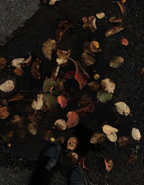 Dark Bohemian Aesthetic, Dark Academia Autumn, Dark Bohemian, Green Academia, Nyc Fall, Weather Seasons, Bohemian Aesthetic, Dark Paradise, Season Of The Witch