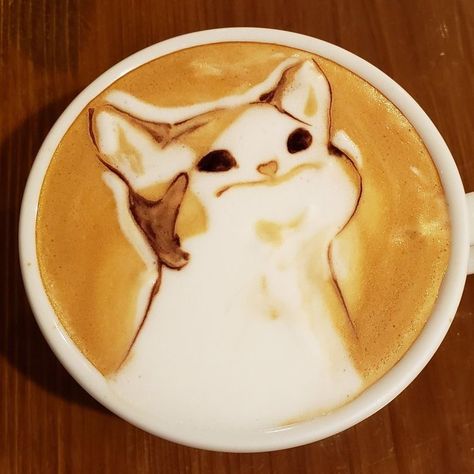 Popcat, coffee, coffee art, latte art, art, kawaii, cat, cute cat, cat art, cat pfp Blursed Images, Cute Mushroom, If You Love, Cappuccino, Unique Design, On Twitter, Coffee, Twitter, Design