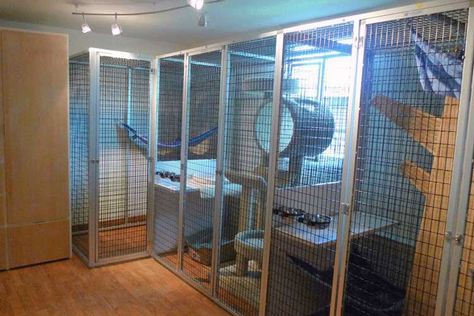 Featured Animal Enclosures Raccoon Enclosure, Ferret Diy, Rocky Raccoon, Squirrel Home, Backyard Animals, Ferret Cage, Dog House Plans, Pet Raccoon, Wildlife Rehabilitation