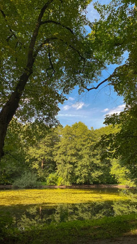 summer day - green nature - trees and little lake, blue sky Nature Astethic, Tree Astethic, Walk In The Park, Nature Tree, Green Nature, Tree Bark, Summer Day, A Walk, Summer Days