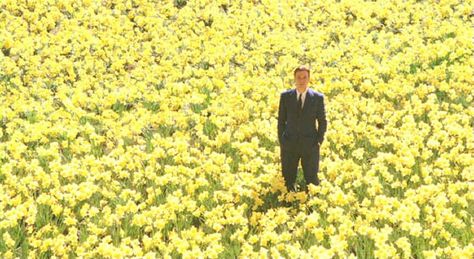 Daffodil scene....Big Fish Big Fish Movie, Alison Lohman, Color In Film, Kelly Macdonald, Beauty Of Cinema, Movie Frames, Cinematic Shots, The Truman Show, Film Shots