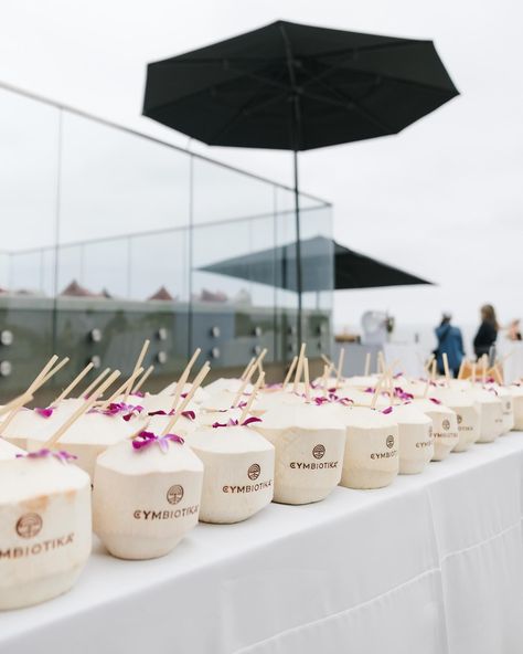 Nourish your body, mind, and soul with a Windansea Coconut and @cymbiotika In-Person Activations: Workout: @pvolve & @pvolvesandiego Cold Plunge: @soulplunge Lymphatic Massage: @misslymph Skincare: @clearsteamskincare Venue, Drinks, & Decor: Venue: @alilamareabeachresort Branded Coconuts: @windansea.coconuts Mocktails: @cymbiotika Florals: @dreamland.events Apparel: Workout Sets: @csb Bikinis: @siennaswim Socks: @theaugustnoa #LiveYourParadise #Cymbiotika #Wellness #Fitness #... Coffee Chill, Chill Space, Wellness Event, Cold Plunge, Opening Event, Wellness Centre, Wellness Club, Wellness Retreat, Nourish Your Body