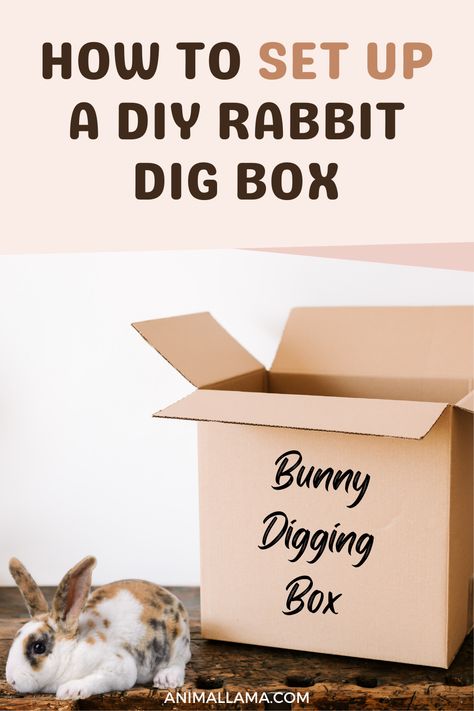 Diy Rabbit Hideout Cardboard, Diy Bunny Furniture, Diy Digging Box For Rabbit, Rabbit Dig Box Ideas Diy, Diy Digging Box For Bunny, Diy Rabbit Accessories, Rabbit Dig Box Ideas, Rabbit Litter Box Ideas Diy, Digging Box For Rabbits