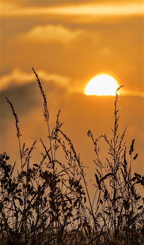 ~Autumn~ " late summer early autumn gold enchants the days." ~M Late Summer Photography, Late Summer Backgrounds, Autumn Evening Aesthetic, Late Summer Early Fall Aesthetic, Sunny Autumn Aesthetic, Afternoon Sun Aesthetic, Late Summer Aesthetic, Moonlight Lovers, Late Sunset