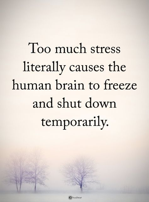 Melt Down Quotes, I Shut Down Quotes, Shut Down Quotes, Stressed Quotation, Shutting Down Quotes, Shutting Down Quotes Feelings, Burn Out Quotes, Shutting Down, Frustration Quotes