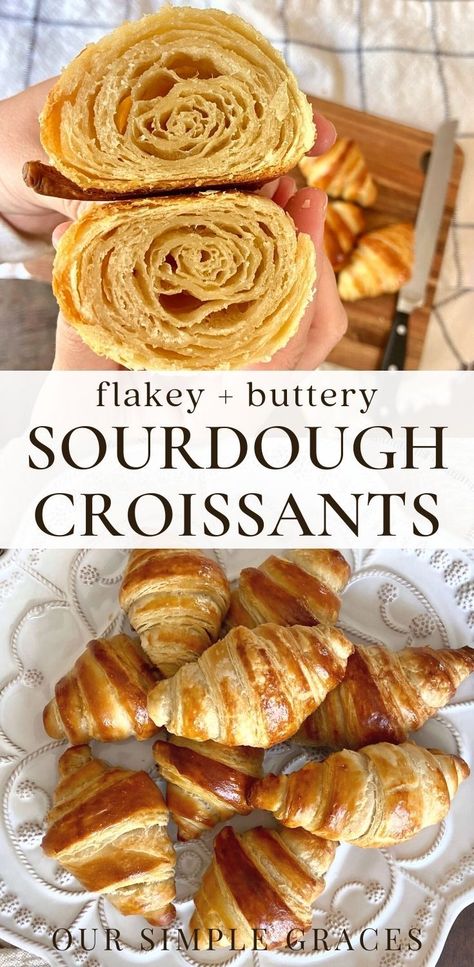 Sourdough Snacks, Sourdough Croissants, Croissants Recipe, Snacks Dinner, Easy Sourdough Bread Recipe, Recipe Using Sourdough Starter, Sourdough Bread Starter, Sourdough Starter Discard Recipe, Homemade Sourdough Bread