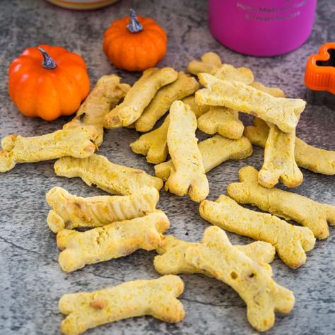 Make grain-free air fryer pumpkin dog treats with simple ingredients like pumpkin puree and rice flour for a quick tasty treat. Fried Dog, Air Fryer Pumpkin, Frozen Dog Treats, Peanut Butter Pumpkin, Pumpkin Dog Treats, Pumpkin Pie Filling, Food Sensitivities, Cat Recipes, Can Dogs Eat