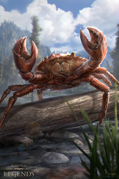 ArtStation - Elder Scrolls Legends : Enraged Mudcrab, Gabriela Dea Julia Crab Images, Images For Drawing, Elder Scrolls Legends, Ocean Creatures Art, Giant Crab, Big Crab, Crab Art, Elder Scrolls Skyrim, Dnd Monsters