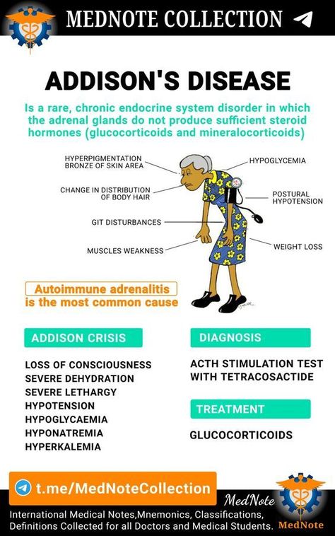 Addison's Disease #medicalschool #resources #medicalstudent - Image Credits: Mednote Collection Rani Aesthetic, Endocrine System Nursing, Addison's Disease, Nurse Study, Basic Anatomy, Medical Tips, Brain Surgeon, Nurse Study Notes, Basic Anatomy And Physiology