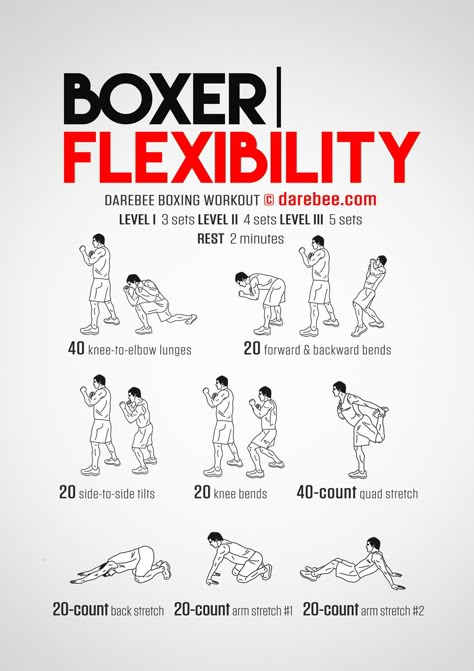 Boxer Workout, Boxing Workout Routine, Fighter Workout, Boxing Training Workout, Fitness Studio Training, Boxing Techniques, Superhero Workout, Trening Sztuk Walki, Mma Workout