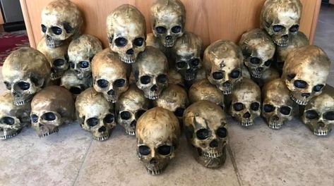 Article Featured Image Milk Jug Skulls, Dollar Store Halloween Decorations, Halloween Props Diy, Aol Mail, Homemade Halloween Decorations, Dollar Store Halloween, Homemade Halloween, Halloween Props, Halloween Projects