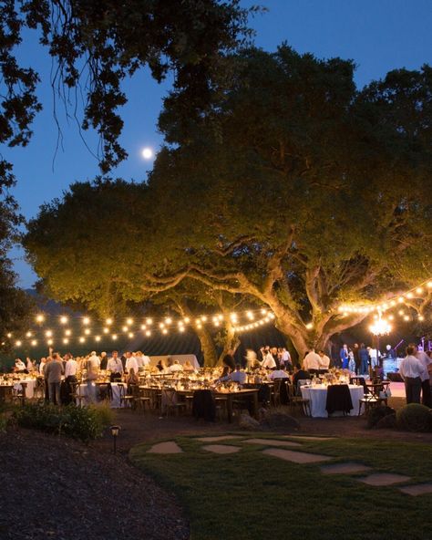 Happy Anniversary! We had a blast photographing this beautiful wedding at Kunde Winery in Sonoma, California. Here are 10 reasons why Kunde is an amazing wedding venue: 1. Beautiful vineyard views 2. Multiple event spaces 3. Historic charm 4. Excellent wine selection 5. Delicious local food options 6. Helpful wedding staff 7. Great photo spots 8. Gorgeous in every season 9. Easy to get to in Sonoma 10. Eco-friendly practices The team that made the pictures possible: Planner: @courtneycar... Wine Country Wedding Venues, Winery Wedding Venues, Winery Wedding Venue, Wine Country Wedding, Winery Weddings, Vineyard Wedding, Event Space, Happy Anniversary, Wine Country