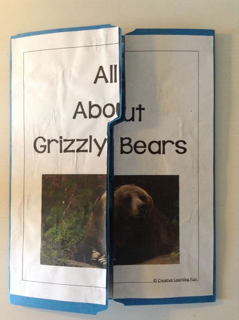 Bears Lesson Plans Preschool, Bear Curriculum For Preschool, Grizzly Bear Diorama, Bear Unit Study, Bear Facts For Kids, Facts About Bears, Planet Zoo Grizzly Bear Habitat, Bear Grylls Survival, Bear Grylls