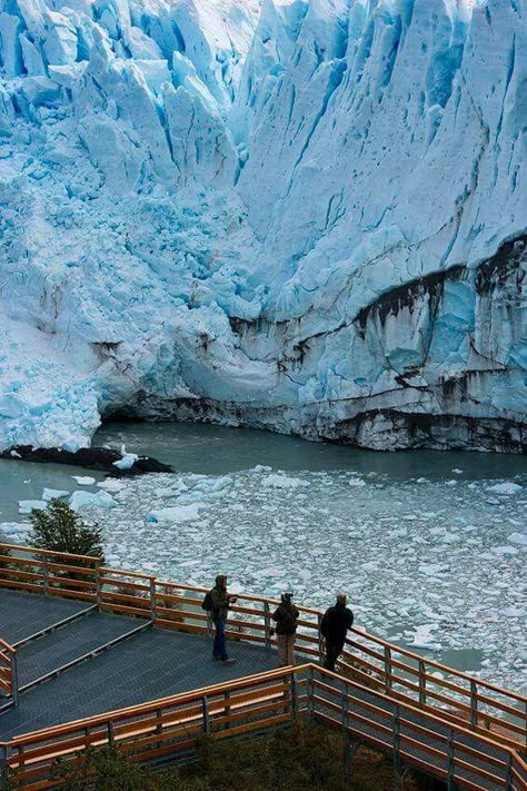 Parque Nacional de los Glaciares, #Argentina #Glaciers #Hiking Perito Moreno Glacier, Patagonia Argentina, Argentina Travel, Ushuaia, South America Travel, Travel South, Cadiz, Beautiful Places To Visit, America Travel