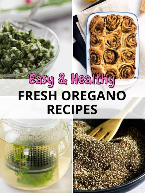 a fresh oregano salad, oregano tea, oregano scrolls and oregano zaatar with text "easy & healthy fresh oregano recipes" Recipes With Oregano, Fresh Oregano Recipes, Folk Recipes, Oregano Recipes, Choc Chip Muffins, Sage Recipes, Preserving Herbs, Wfpb Recipes, Herb Recipes