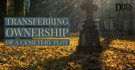 How to Transfer Ownership of a Cemetery Plot - Deeds.com Personality Type Quiz, Color Quiz, Simple Interest, Purchase Form, True Or False, Practice Exam, Personality Quiz, Big Business, True Nature