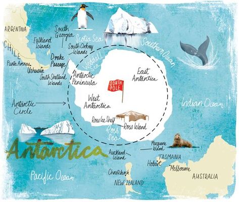 Antarctica Bulletin Board, Antarctica Illustration, Antarctica Continent, Antarctica Map, Antarctica Activities, Antarctica Cruise, Antarctica Travel, Circle Map, Winter Activities Preschool