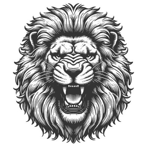 Roaring lion engraving sketch Royalty Free Vector Image Lion Drawing Sketches, Lion Engraving, Lion Vector Illustration, Lion Outline, Lion Drawings, Bus Sticker, Animal Sketch, Lion Drawing, Roaring Lion