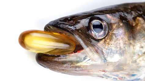 #DidYouKnow Oily fish, vitamin A and vitamin C all help to preserve good eyesight #OptometryFacts Fish Supper, Fish Oil Capsules, Anti Oxidant Foods, Omega 3 Fish Oil, Atrial Fibrillation, 3 Fish, Anti Aging Food, Health Articles, Fish Oil